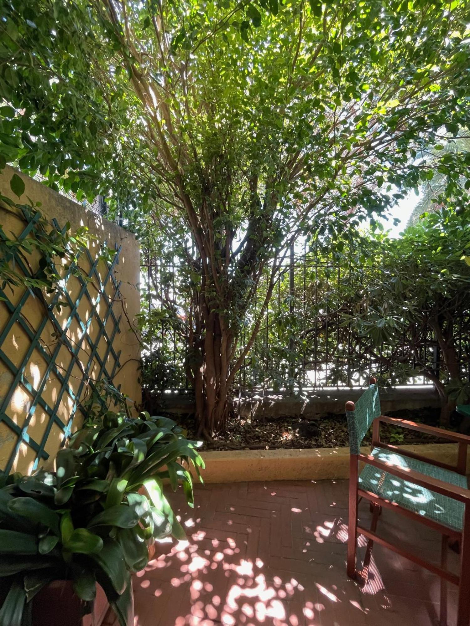 Hotel Beau Rivage Alassio Bagian luar foto