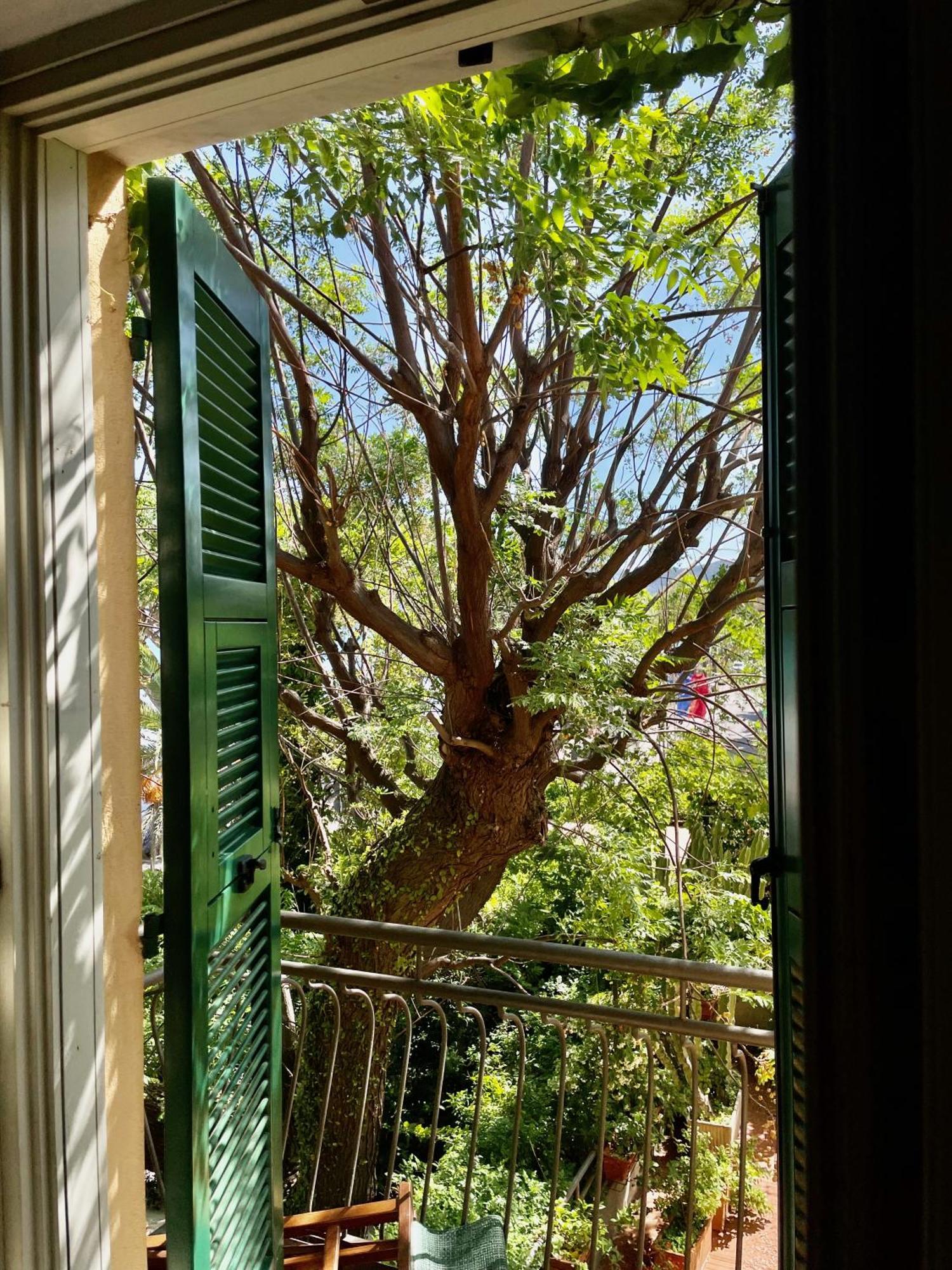 Hotel Beau Rivage Alassio Bagian luar foto